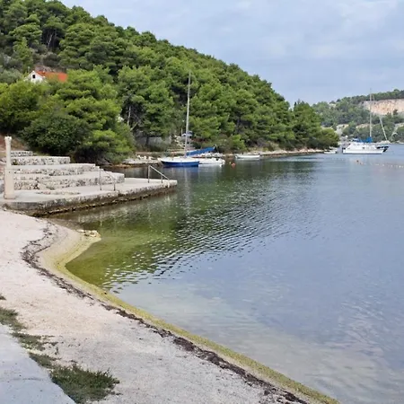 Milo - 50m From The Sea