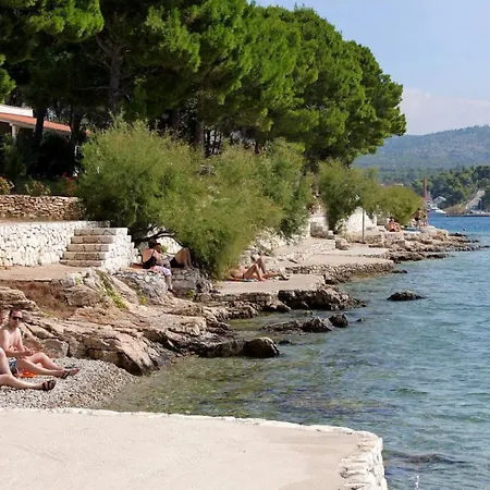 Milo - 50m From The Sea *